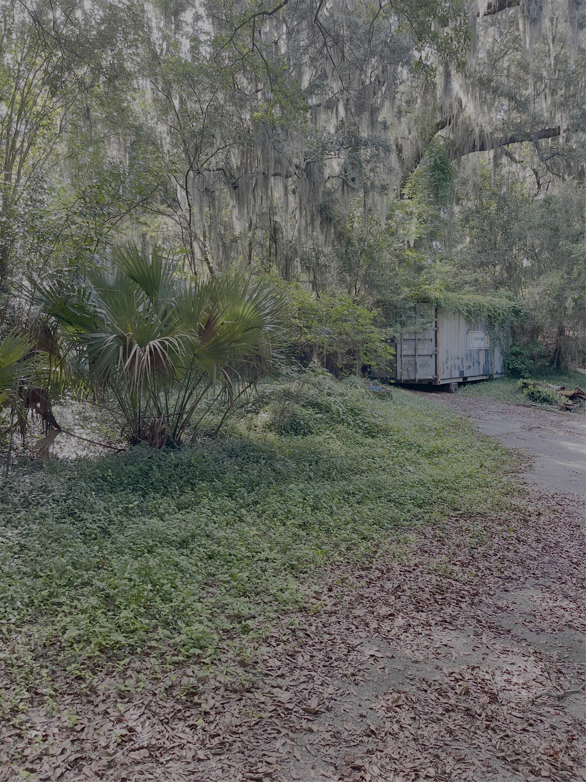Scenic outdoor venue setup at The Social Chapel